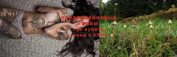 эйфоретик Протвино
