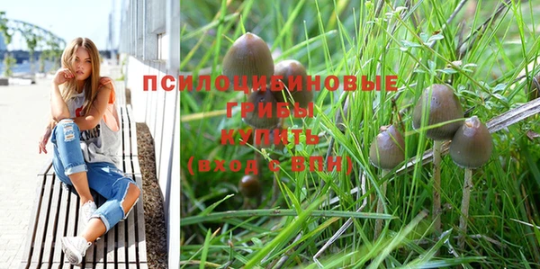 каннабис Алзамай