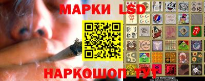 стафф Кандалакша