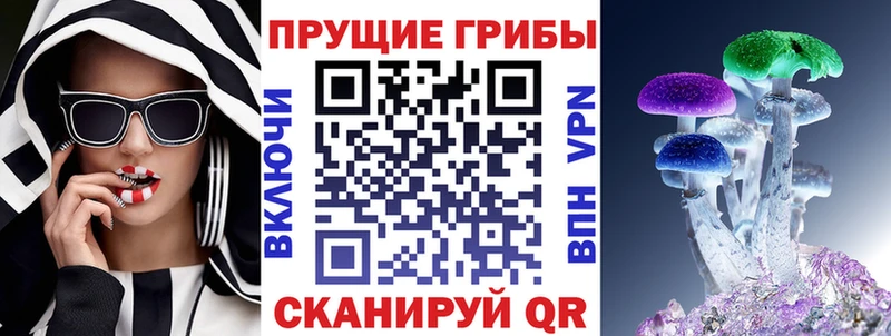 Псилоцибиновые грибы Psilocybe  Нижнеудинск 