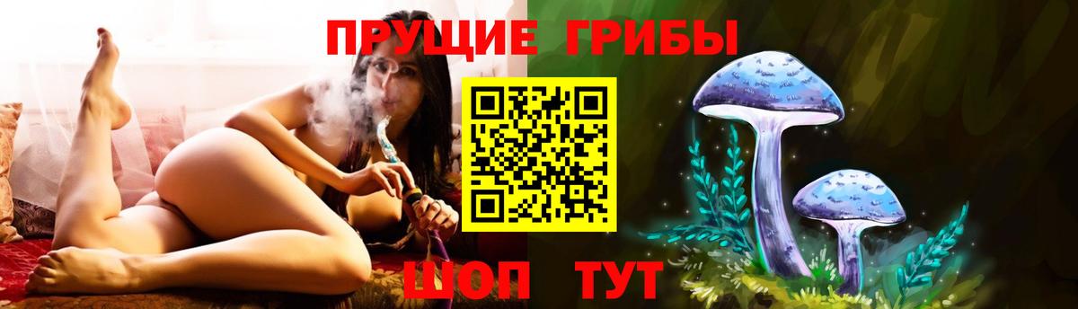 Нижнеудинск  Псилоцибиновые грибы MAGIC MUSHROOMS  сколько стоит  Вход с VPN 